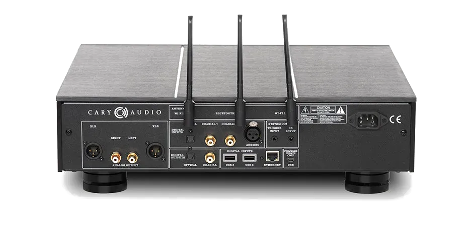 Cary Audio DMS-700 Network Player - [DAC USB Wi-Fi BT], rear view at Toma Audio