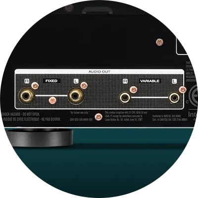 Marantz SACD 30n, variable output terminal detail at Toma Audio