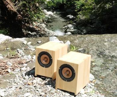 Sparkler Audio model S510 "flavor" 15cm Full-Range Loudspeaker System, side detail at Toma Audio