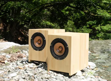 Sparkler Audio model S510 "flavor" 15cm Full-Range Loudspeaker System, rear detail at Toma Audio