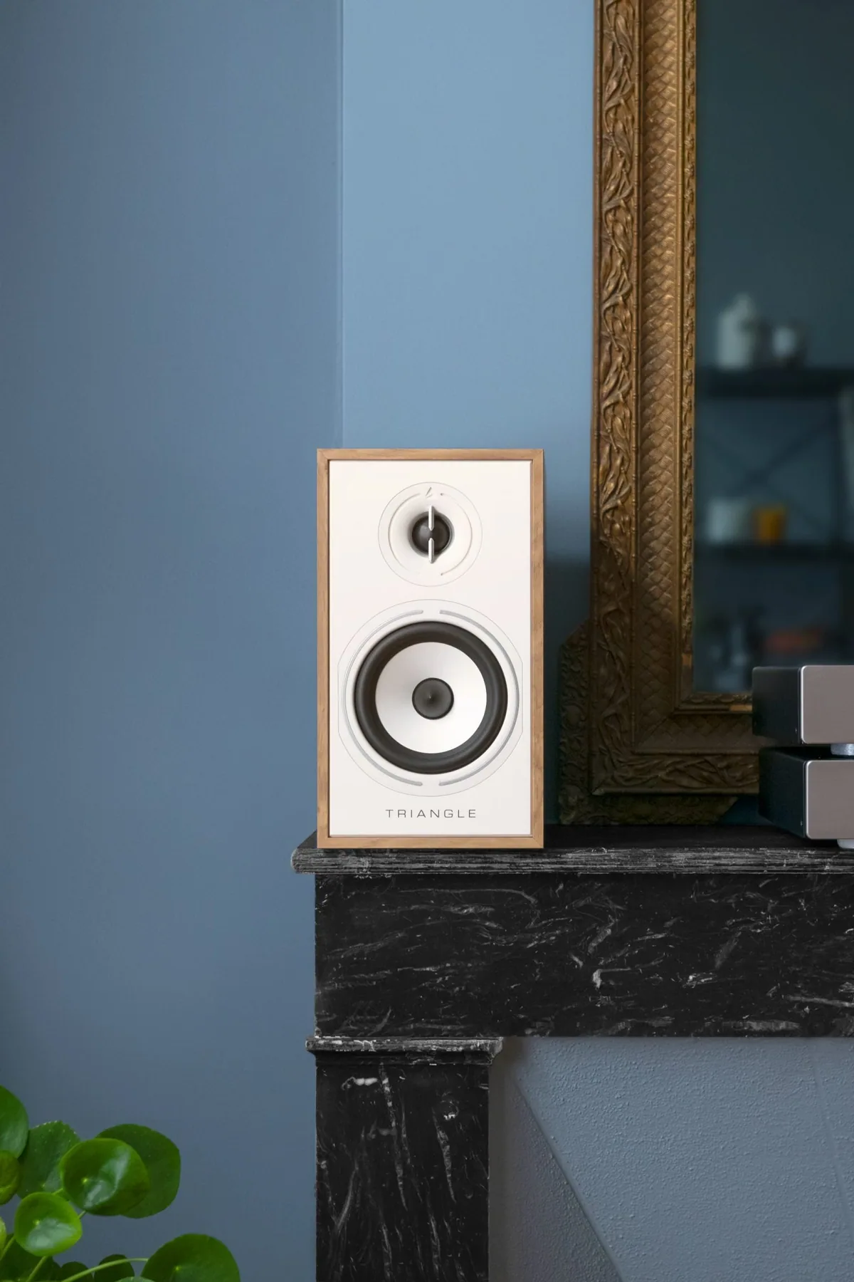 Triangle Borea BR02 - [2-way 5"], Triangle Borea Br02 Light Oak Lifestyle 04 at Toma Audio