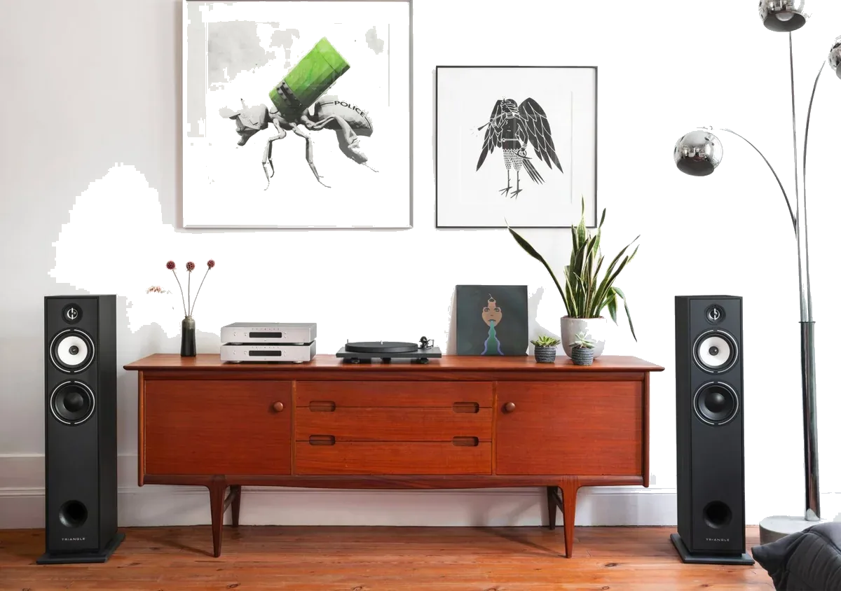 Triangle Borea BR07 - [2.5-way 6.5"], Lifestyle Br07 2 at Toma Audio
