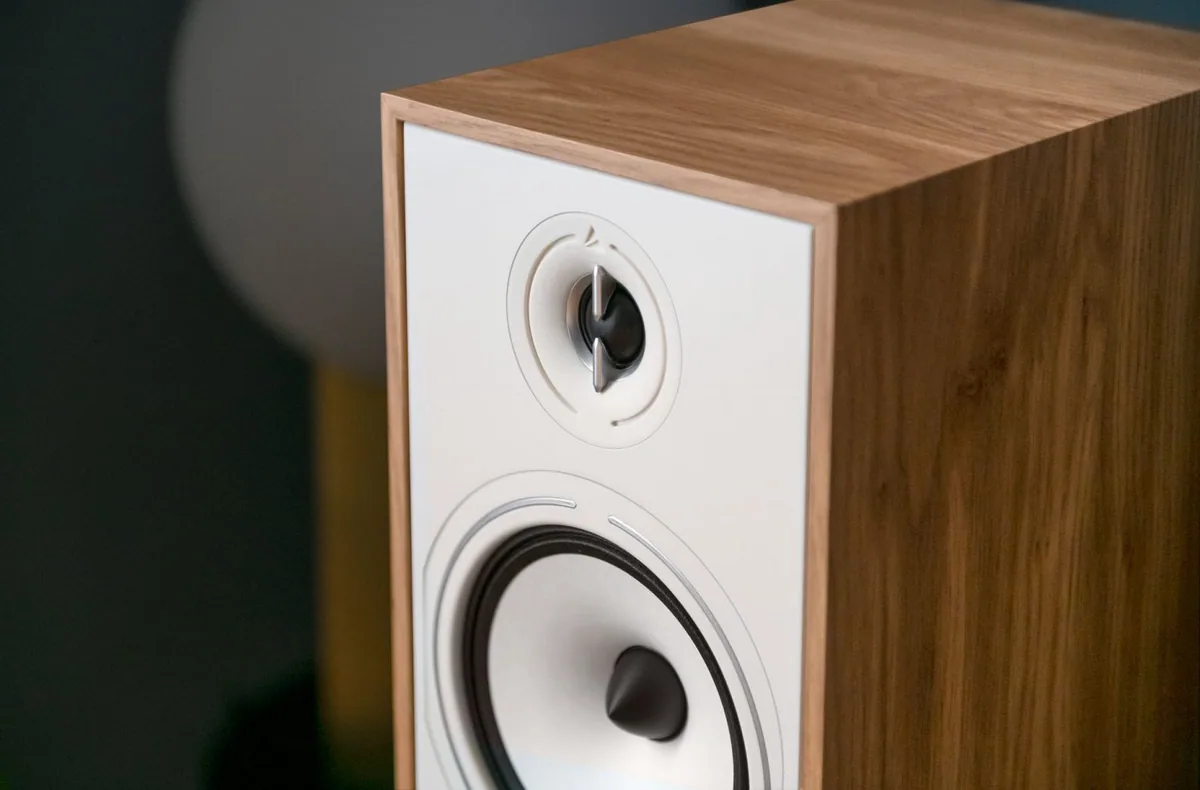 Triangle Borea BR07 - [2.5-way 6.5"], Dsc7267 at Toma Audio