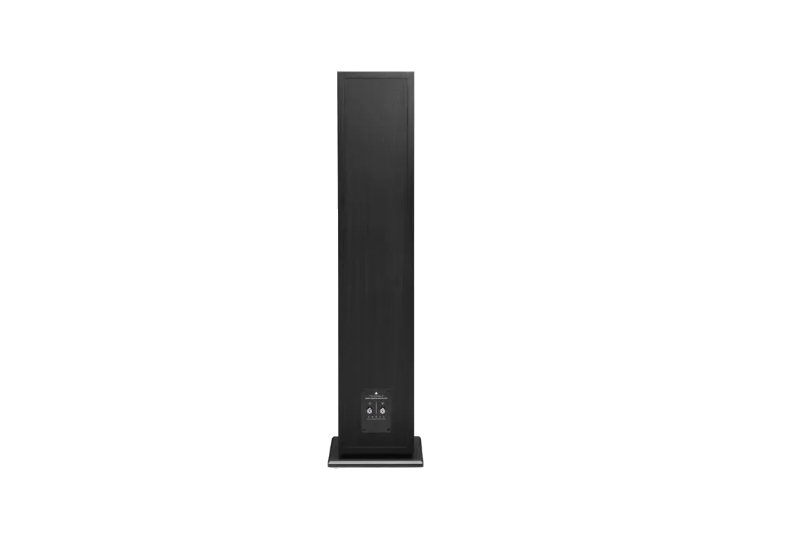 Triangle Borea BR08 - [3-way 6.5"], Borea Br08 Noir Packshot 3 at Toma Audio