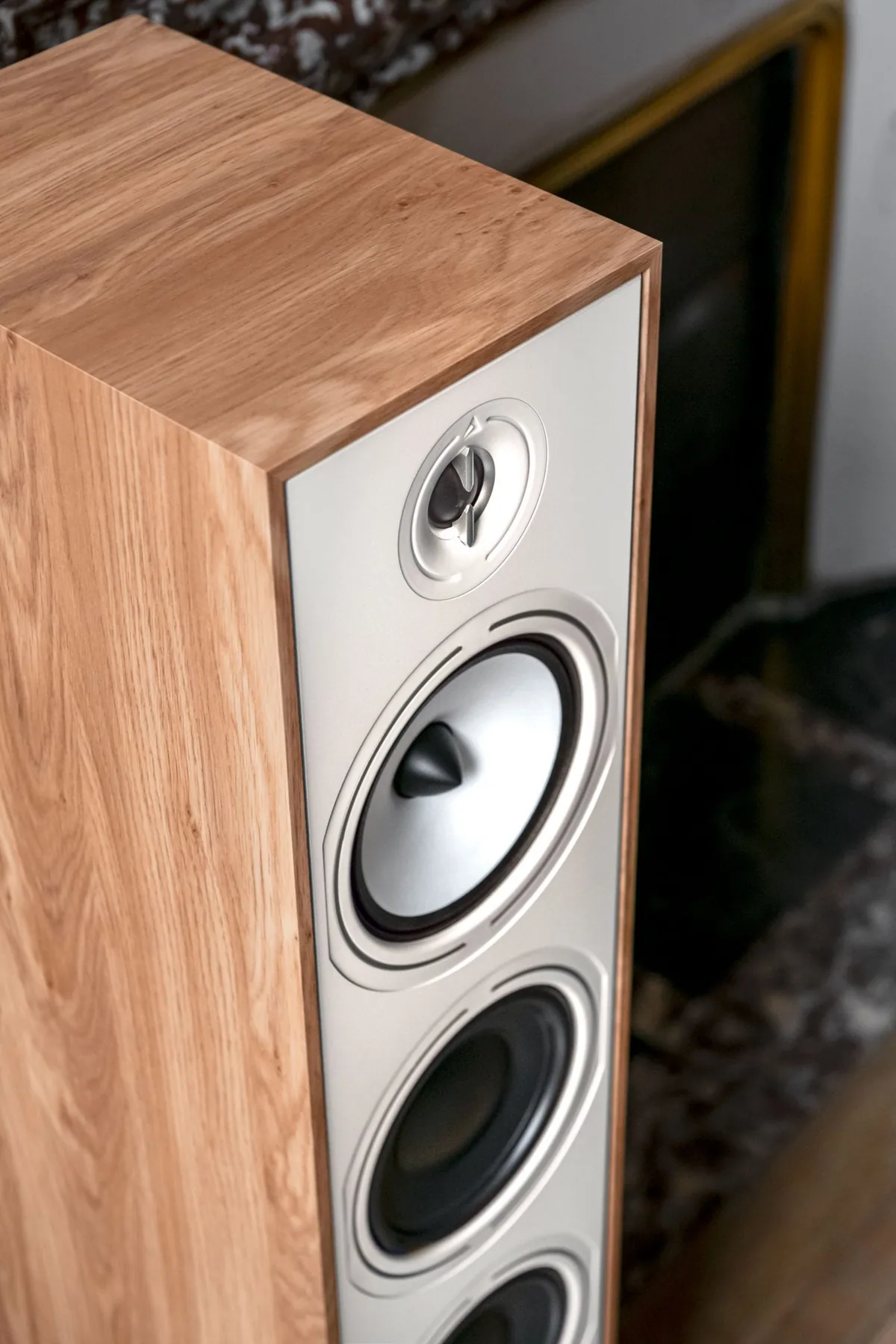 Triangle Borea BR08 - [3-way 6.5"], Dsc6821 at Toma Audio